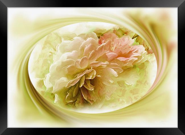 Corel and Pink Peoni Flower Framed Print by Elaine Manley