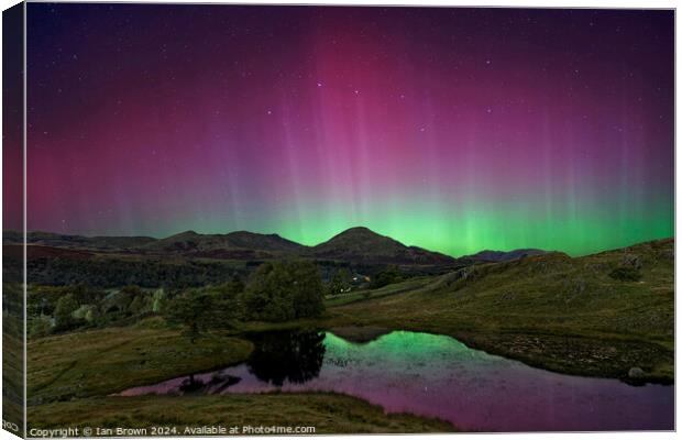 Aurora and the Old Man Canvas Print by Ian Brown