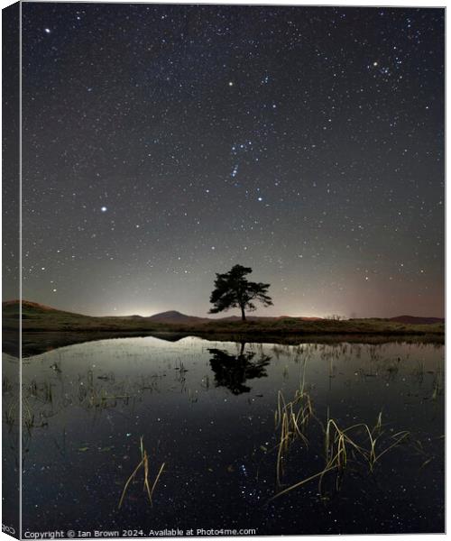 Kelly Hall Orion Canvas Print by Ian Brown
