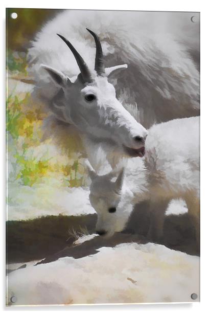 Mountain Goat and baby Acrylic by Elaine Manley