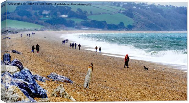A Wild And Windy Slapton Sands Canvas Print by Peter F Hunt