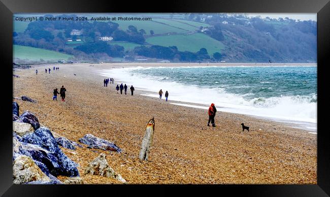 A Wild And Windy Slapton Sands Framed Print by Peter F Hunt