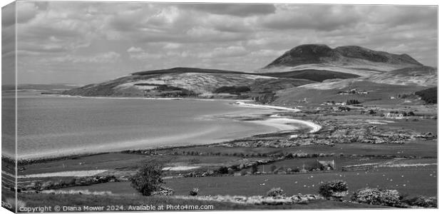 The Isle of Arran Monochrome Canvas Print by Diana Mower