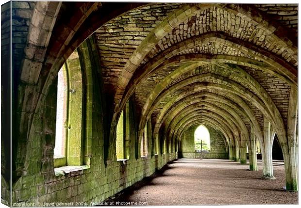 Yorkshire Fountains Abbey Arch Canvas Print by David Bennett