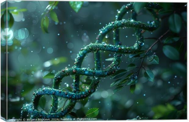Enchanted Evening Dew on the Spiraling DNA Vines Canvas Print by Mirjana Bogicevic