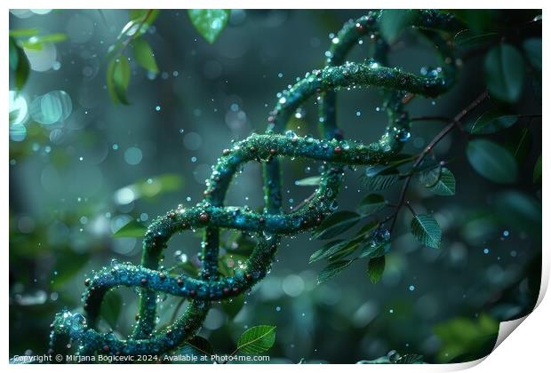 Enchanted Evening Dew on the Spiraling DNA Vines Print by Mirjana Bogicevic
