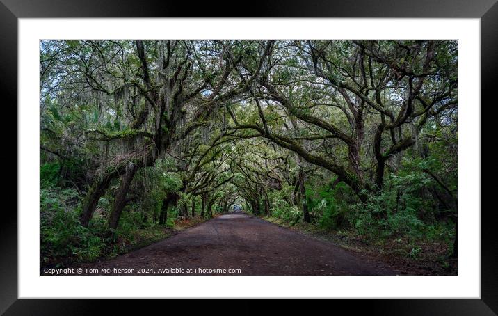 Botany Bay Road Framed Mounted Print by Tom McPherson
