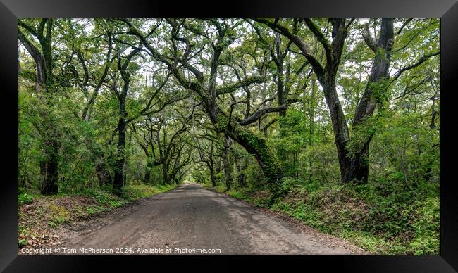 Botany Bay Road Framed Print by Tom McPherson