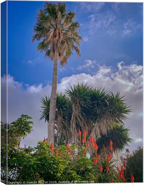 Tall Palm in Es Migjorn Menorca Garden Canvas Print by Deanne Flouton