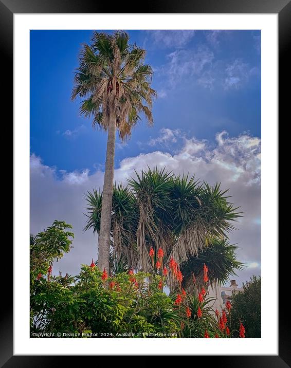 Tall Palm in Es Migjorn Menorca Garden Framed Mounted Print by Deanne Flouton