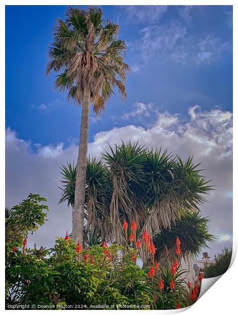 Tall Palm in Es Migjorn Menorca Garden Print by Deanne Flouton