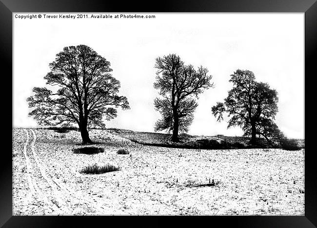 Tree Sisters Framed Print by Trevor Kersley RIP
