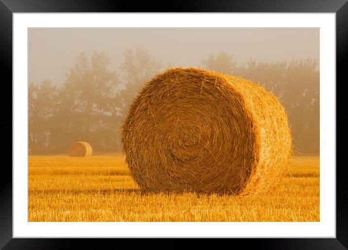 Wheat Straw Bales in the Fog Framed Mounted Print by Dave Reede