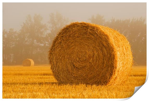 Wheat Straw Bales in the Fog Print by Dave Reede