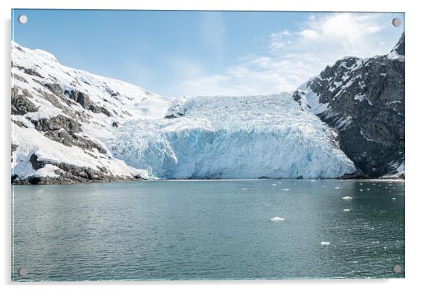 Beloit Tidewater Glacier in Blackstone Bay, Prince William Sound, Alaska, USA Acrylic by Dave Collins