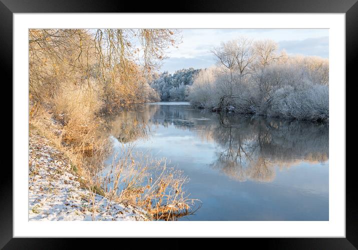 Reflections of snow covered trees in the River Teviot, Scottish Borders, United Kingdom Framed Mounted Print by Dave Collins