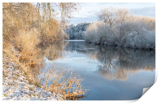 Reflections of snow covered trees in the River Teviot, Scottish Borders, United Kingdom Print by Dave Collins