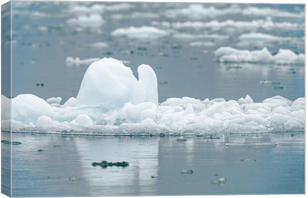 Close up of a growler - small iceberg in Alaska, USA Canvas Print by Dave Collins