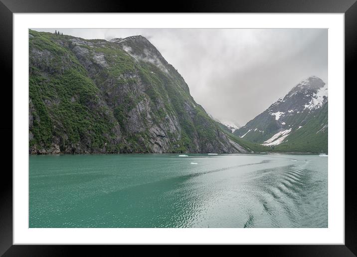 Ice floating in the Tracey Arm inlet, Alaska, USA Framed Mounted Print by Dave Collins