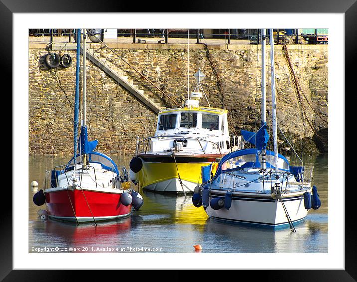 Colourful boats Framed Mounted Print by Liz Ward