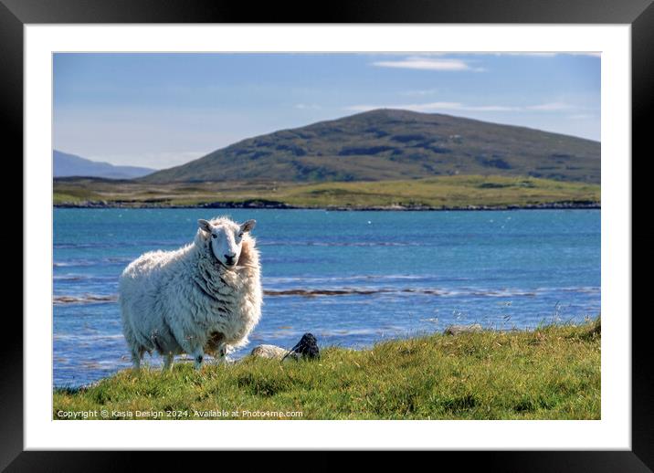 A Proud Sheep in The Outer Hebrides Framed Mounted Print by Kasia Design