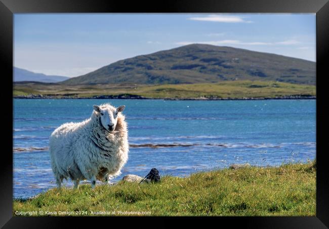 A Proud Sheep in The Outer Hebrides Framed Print by Kasia Design