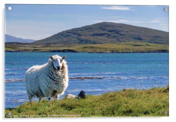 A Proud Sheep in The Outer Hebrides Acrylic by Kasia Design