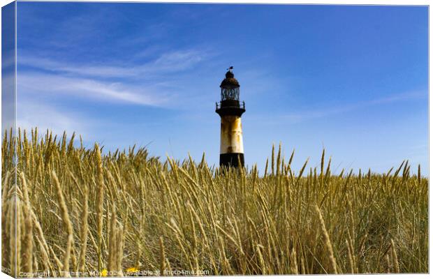 Cape Pembroke Lighthouse  Canvas Print by Tiphanie May