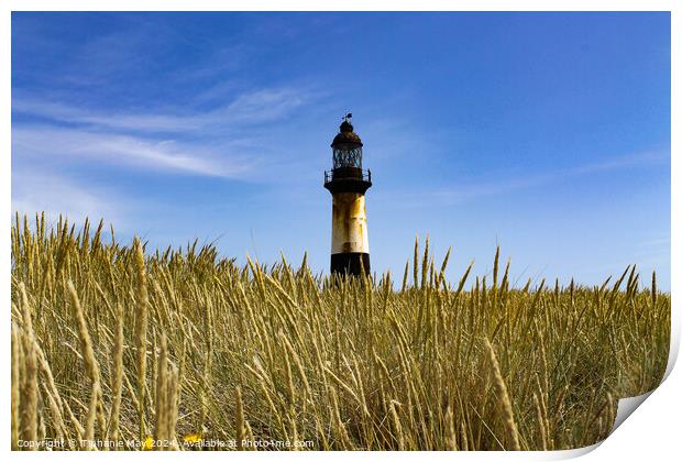 Cape Pembroke Lighthouse  Print by Tiphanie May