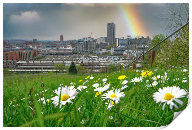 Sheffield Springtime Cityscape Print by Alison Chambers