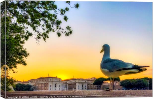 Seagull's Gaze: Sunset over Rome City Skyline Canvas Print by William AttardMcCarthy