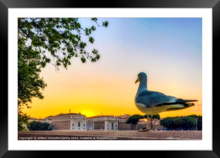 Seagull's Gaze: Sunset over Rome City Skyline Framed Mounted Print by William AttardMcCarthy
