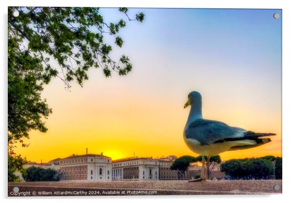Seagull's Gaze: Sunset over Rome City Skyline Acrylic by William AttardMcCarthy