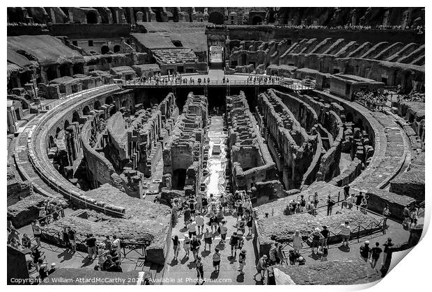 Monochrome Colosseum Exploration Print by William AttardMcCarthy