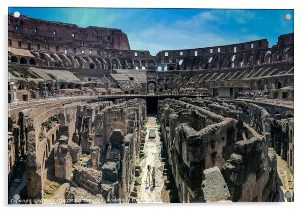 Colosseum Underbelly: Wide Angle Archaeological LiDAR Survey Acrylic by William AttardMcCarthy
