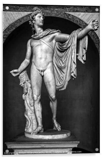 Majestic Apollo Belvedere: Monochrome Roman Sculpture Acrylic by William AttardMcCarthy