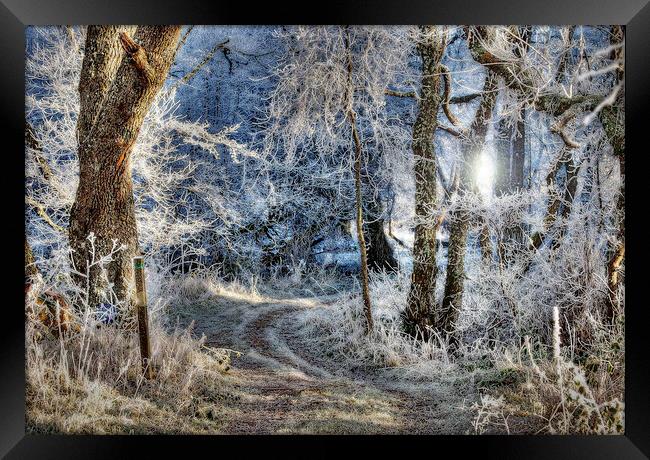 Frosted Path Framed Print by Karl Oparka
