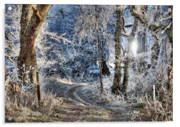 Frosted Path Acrylic by Karl Oparka