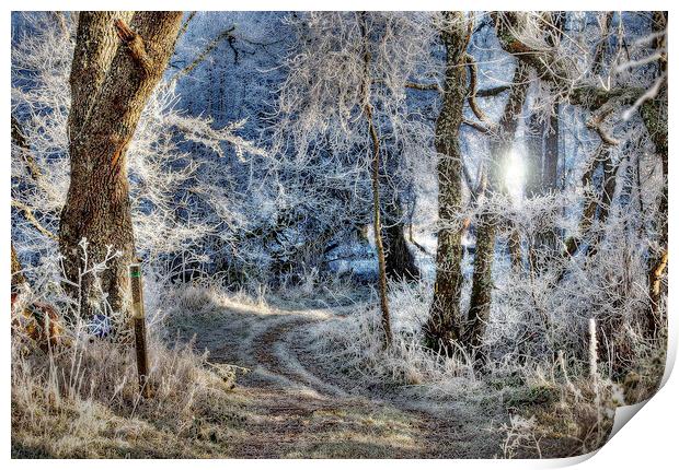Frosted Path Print by Karl Oparka