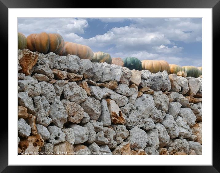 Pumpkin Wall in Menorca Spain Framed Mounted Print by Deanne Flouton