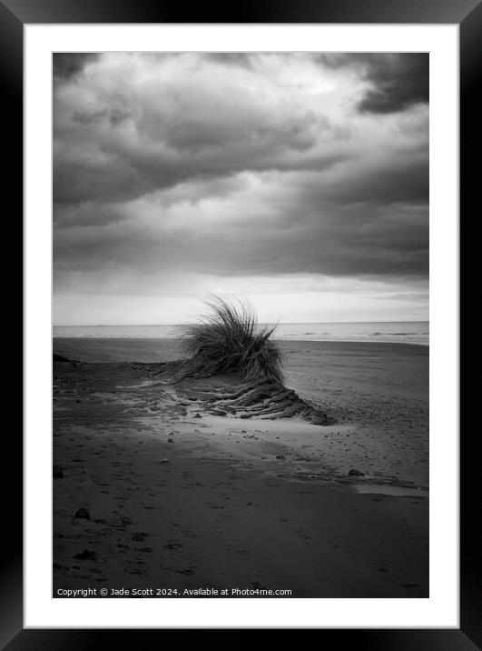 Cloudy day in lunan bay Framed Mounted Print by Jade Scott