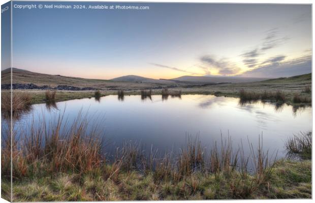 Pool above Ystradfellte at first light. Canvas Print by Neil Holman