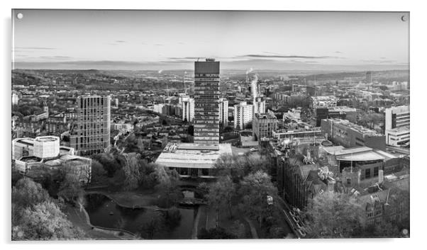 Sheffield CItyscape Acrylic by Apollo Aerial Photography