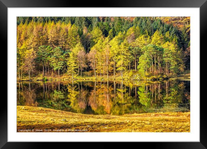 Beautiful Autumn Reflections on Blea Tarn, Lake District National Park, Cumbria Framed Mounted Print by Steve 