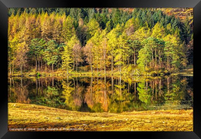 Beautiful Autumn Reflections on Blea Tarn, Lake District National Park, Cumbria Framed Print by Steve 
