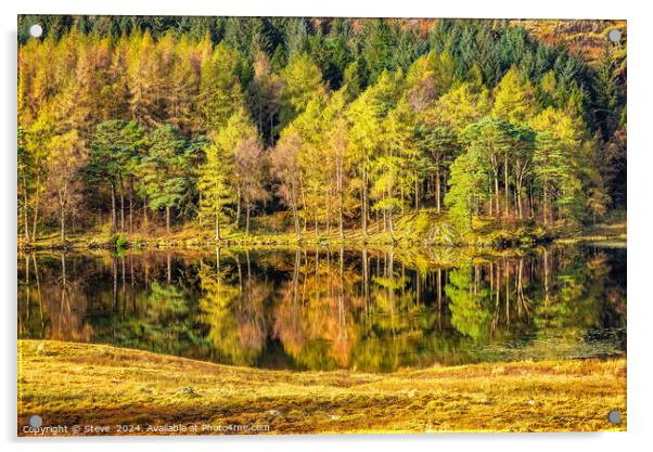 Beautiful Autumn Reflections on Blea Tarn, Lake District National Park, Cumbria Acrylic by Steve 
