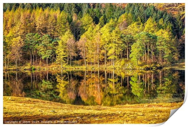 Beautiful Autumn Reflections on Blea Tarn, Lake District National Park, Cumbria Print by Steve 