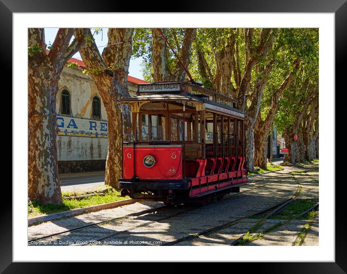 Red tram 1 Framed Mounted Print by Dudley Wood