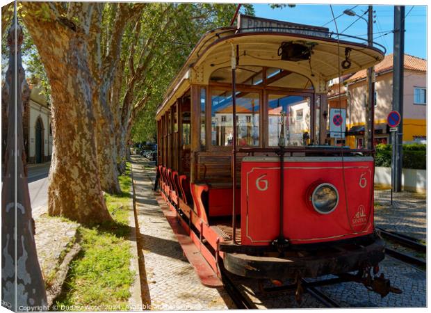 Red tram 2 Canvas Print by Dudley Wood
