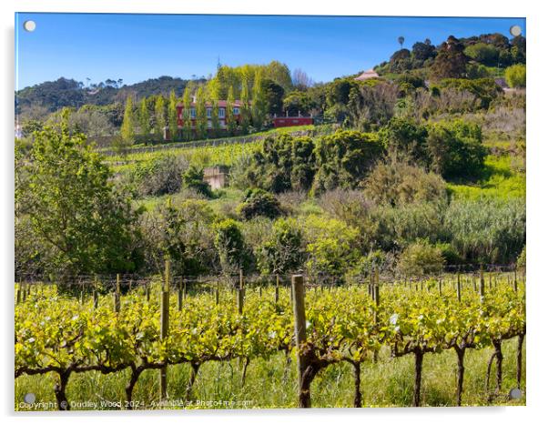 Hillside vineyard Acrylic by Dudley Wood